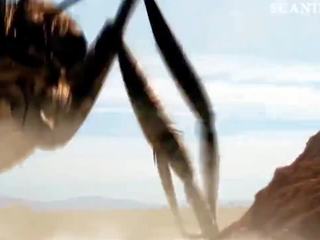 Cortney palm עירום סצנה מן dead ant ב scandalplanet