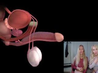 Mannetje orgasme anatomy explained educational joi: gratis xxx klem 85